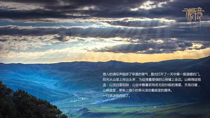 88影视